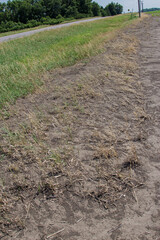 wind blown soil on the edge of a field