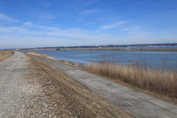 Blick auf die Naturlandschaft am Einlauf des Rheins in den Bodensee bei Hard in Österreich	