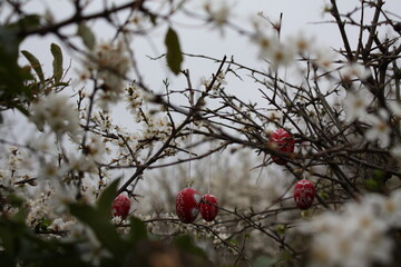 German traditional wood easter egg from Schwalm region celebrating spring