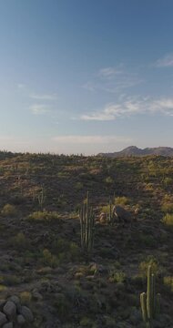 Vertical Ratio View Of Desert Landscape In Arizona At Morning Time