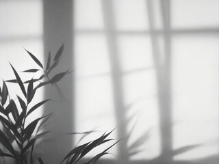 silhouette of a bamboo