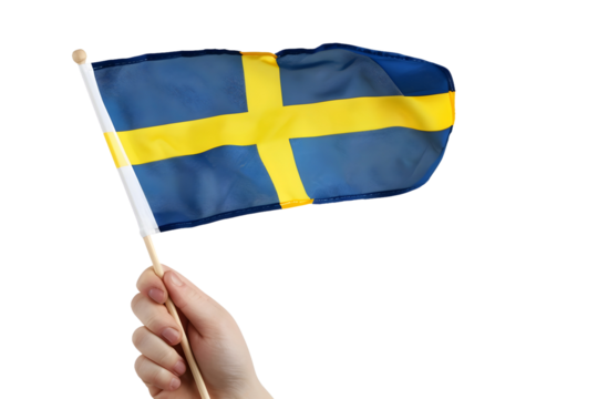 man hand hold national flag of Sweden isolated on transparent background