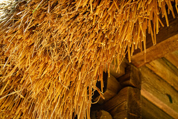 close up of a thatched roof 