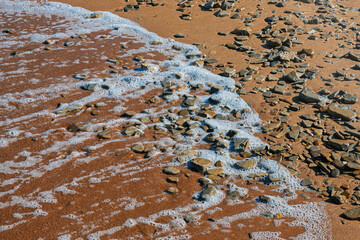 Sea shore, illuminated by the sun, toned.
