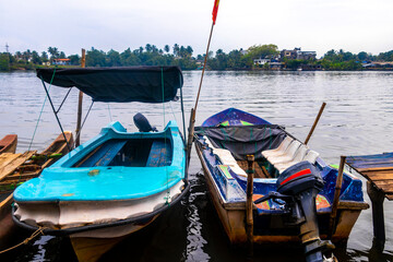 Obraz premium Boat safari through mangrove jungle Bentota Ganga River Bentota Beach Sri Lanka.