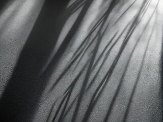 Fototapeta premium black fabric texture