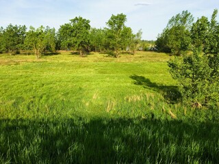 Rural landscape in May