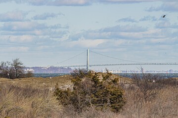 Beach with Bridge in Background