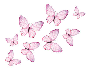 pink set butterfly pink watercolor blue butterfly set illustration design for fashion, t shirt, print, graphic all type decorative