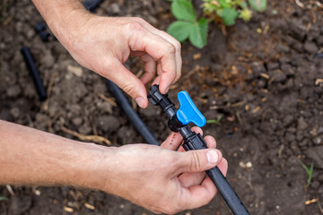 Installation of a drip irrigation system for the garden. A man connects a shut-off valve to an HDPE pipe to shut off the water