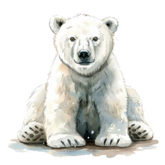 Sitting Polar Bear Drawing