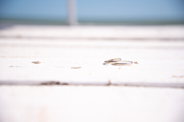 Happy day. Wedding, two wedding rings lie on the pavement.