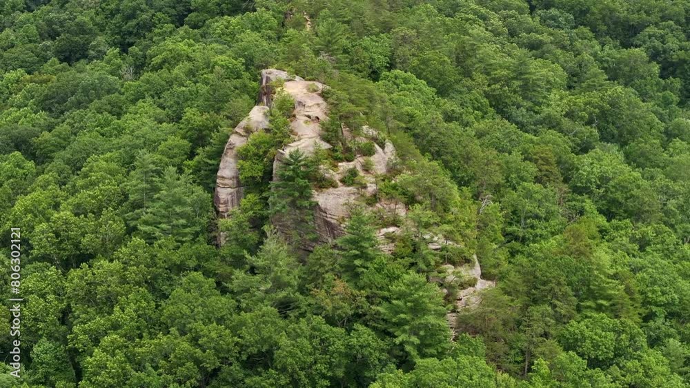 Wall mural aerial drone view over kentucky forest