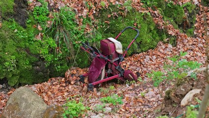 Creepy Dirty Baby Stroller Dumped in Forest