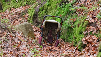 Creepy Dirty Baby Stroller Dumped in Forest