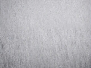 Obraz premium brushed metal texture