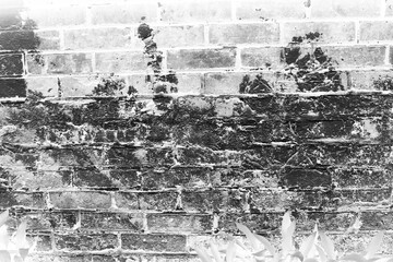 old brick wall in black and white film negative