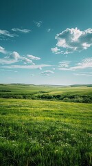Fototapeta premium Grassland scenery under the blue sky and white clouds