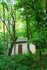A small building in the woods