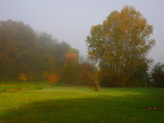 Sunny foggy landscape during autumn day