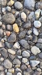Rock