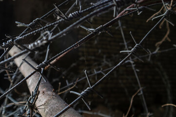 Metal barbed wire on dark background, closeup photo