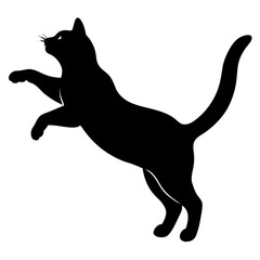 silhouette of a cat vector illustration