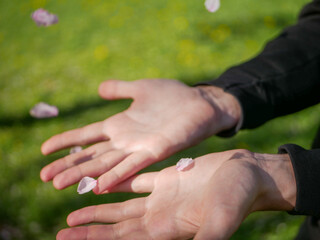 person holding a flower