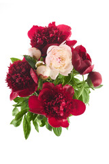 Lush arrangement of red and pink peonies with green leaves on white background