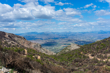 Burnt forest on trail to the peak Mijas, Malaga, Spain