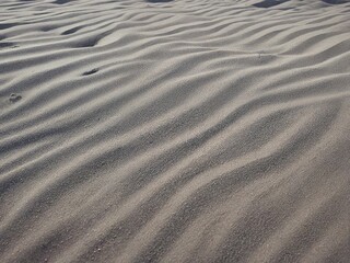 Obraz premium sand ripples on the beach
