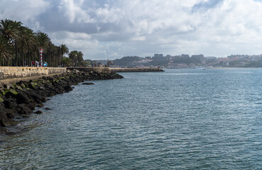 A large river in the city, a rocky shore with a promenade and palm trees; light haze and a city visible in the distance.