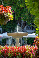Flowers square in morning summer day in Estepona, Spain