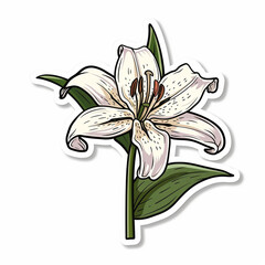 Lily flower,  bright sticker on a white background