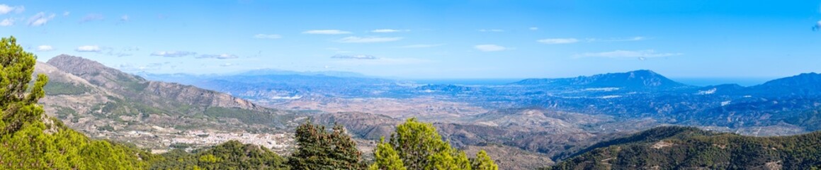 Panoramic view on pine forest on hiking trail to peak Torrecilla, Sierra de las Nieves national...