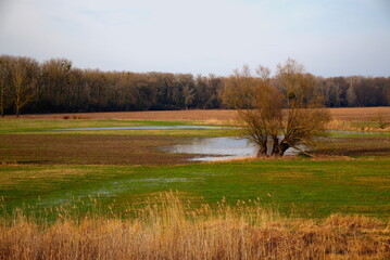 Nadwiślański pejzaż