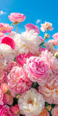 Fototapeta premium Pink roses in the sky.