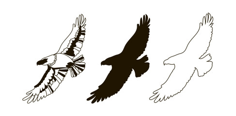 Set of three eagles in the outline style, black silhouette and doodle. A flying bird. Vector illustration isolated on a white background