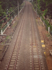 railroad tracks in the forest