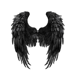 black wing isolated on white background.
