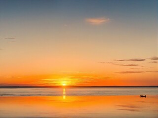 Naklejka premium Bcakground and Texture