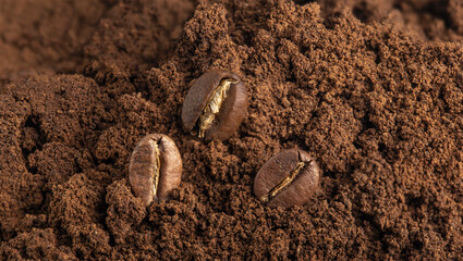freshly roasted coffee beans on a background of ground coffee