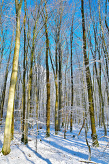 Naklejka premium a pixelated image of a snowy forest with trees covered in snow