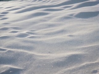 Obraz premium snow on the beach