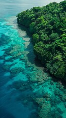 Aerial shot of a tropical coastline showing the dense green forest meeting the clear blue ocean water with coral reefs