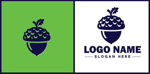 acorn icon Oak nut Acorn nut Acorn seed flat logo sign symbol editable vector