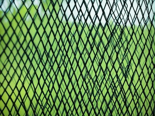 Fototapeta premium fence