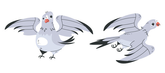Cute doves birds pigeons characters isolated set. Vector flat graphic design element illustration