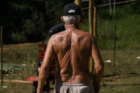 The sun seasoned back of an old worker from the Movement of the Landless Rural Workers