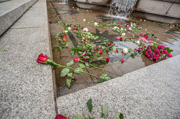 Red and white roses in a fountain.